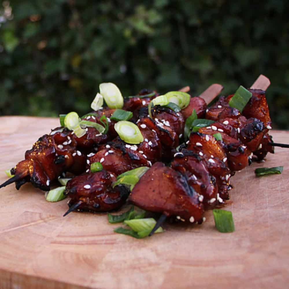 Kip Teriyaki Spiesjes