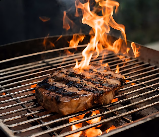 Vlees op de BBQ